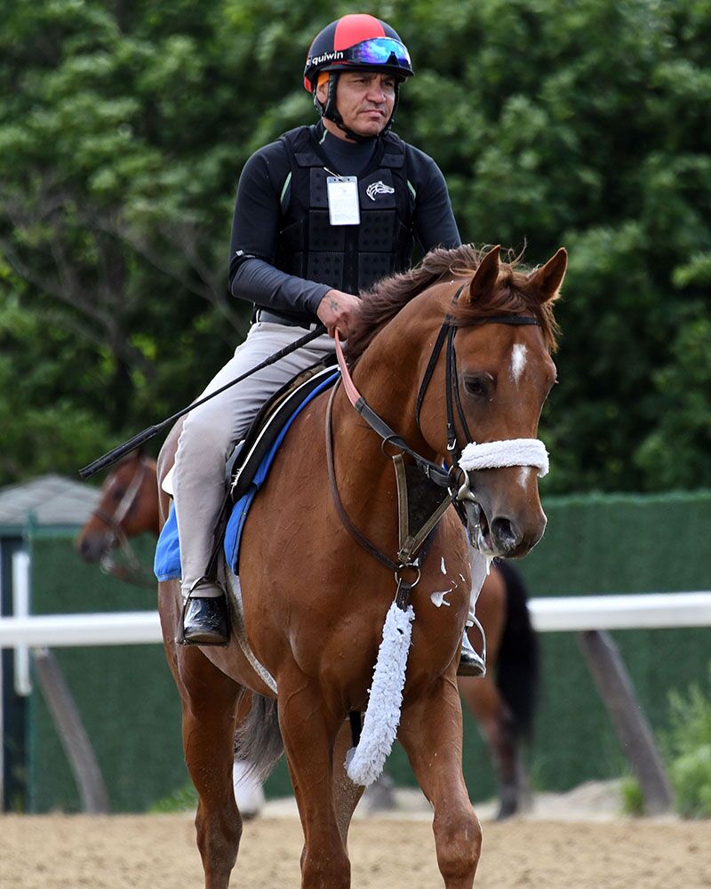 Life on Top Workouts Centennial Farms