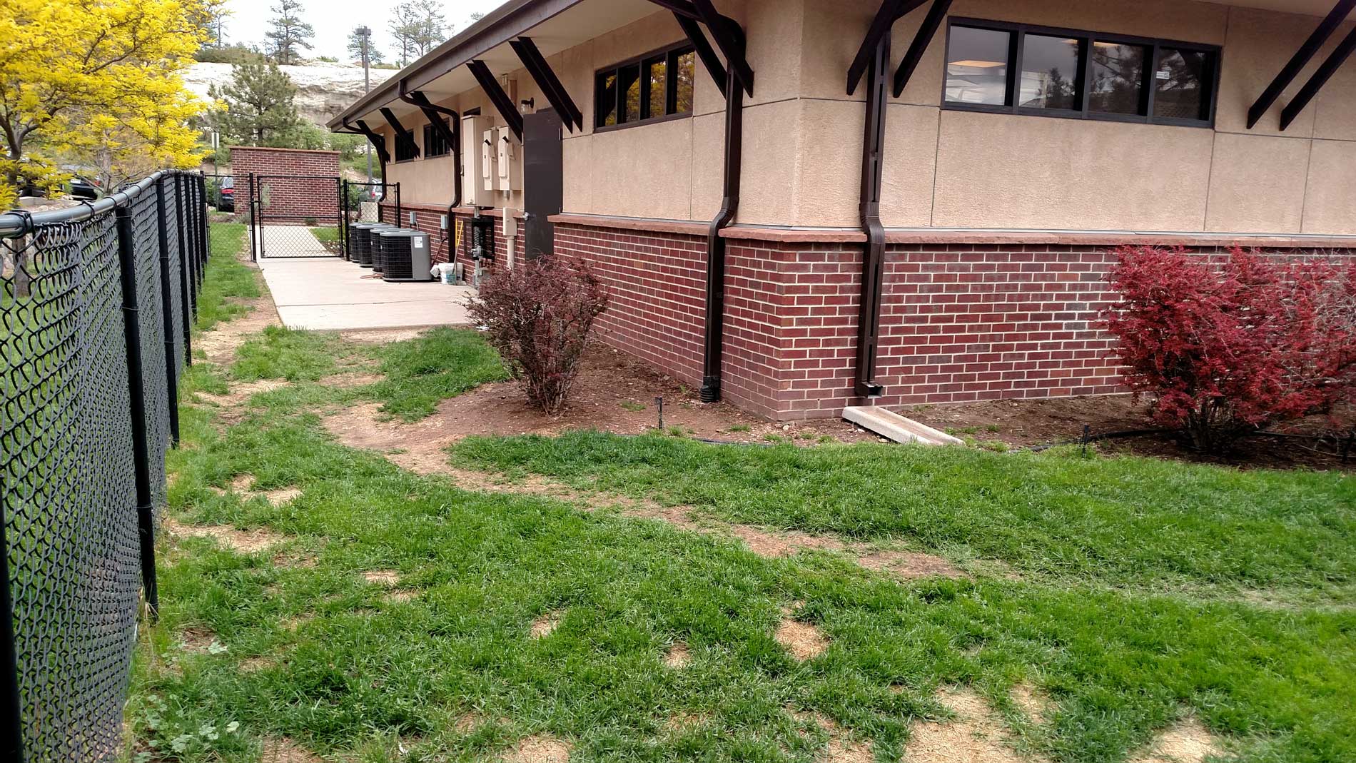 Pet Boarding 80919 Colorado Springs, CO Centennial Animal Hospital