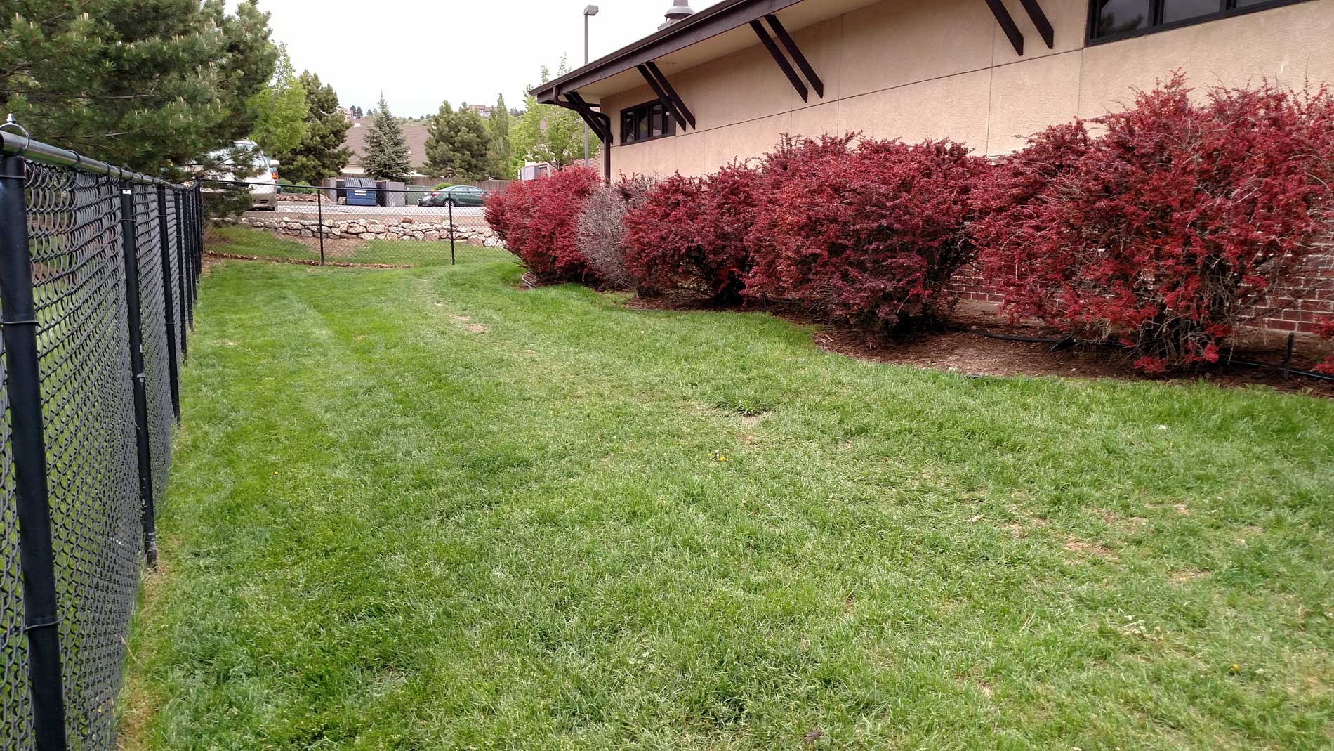 Pet Boarding 80919 Colorado Springs, CO Centennial Animal Hospital