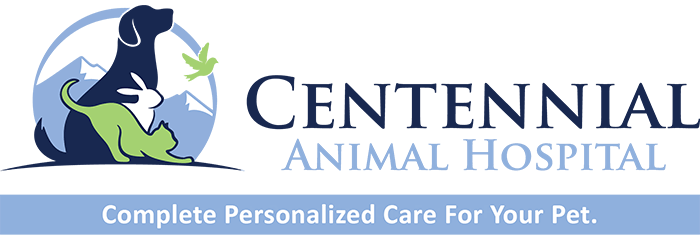 Colorado Springs, CO Veterinarian Centennial Animal Hospital Dr. Stahl