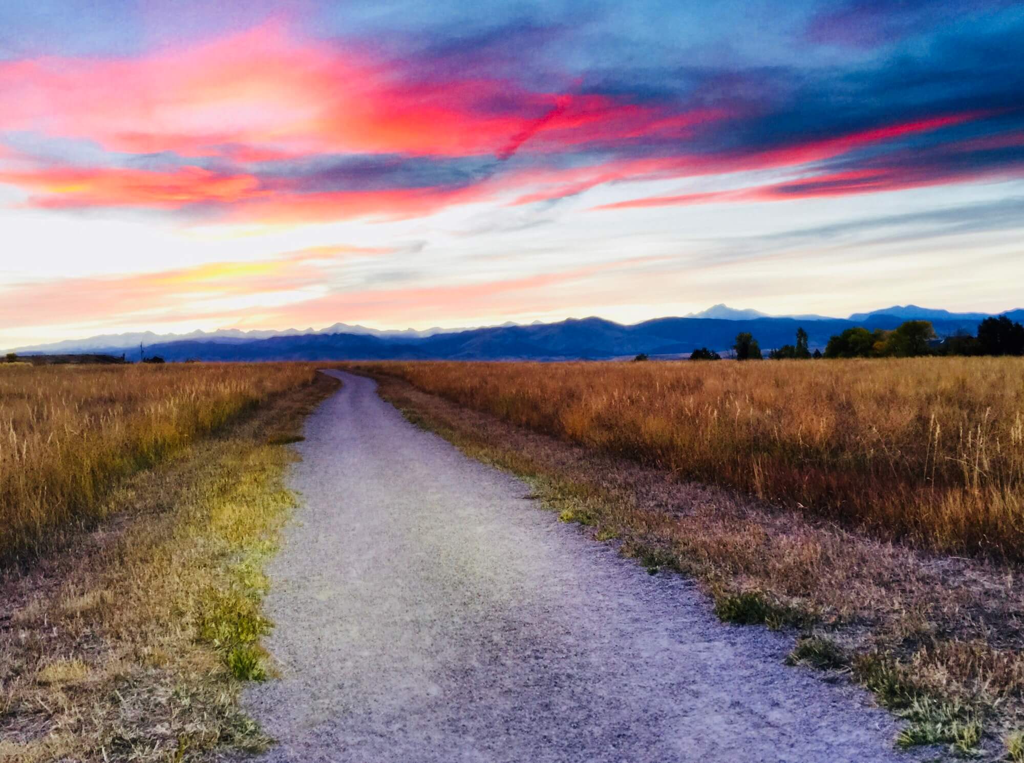 Longmont Co Long Term Car Rental at Rex Rudolph blog