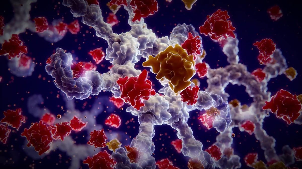 What Is Regenokine Cost And Effectiveness About Orthokines