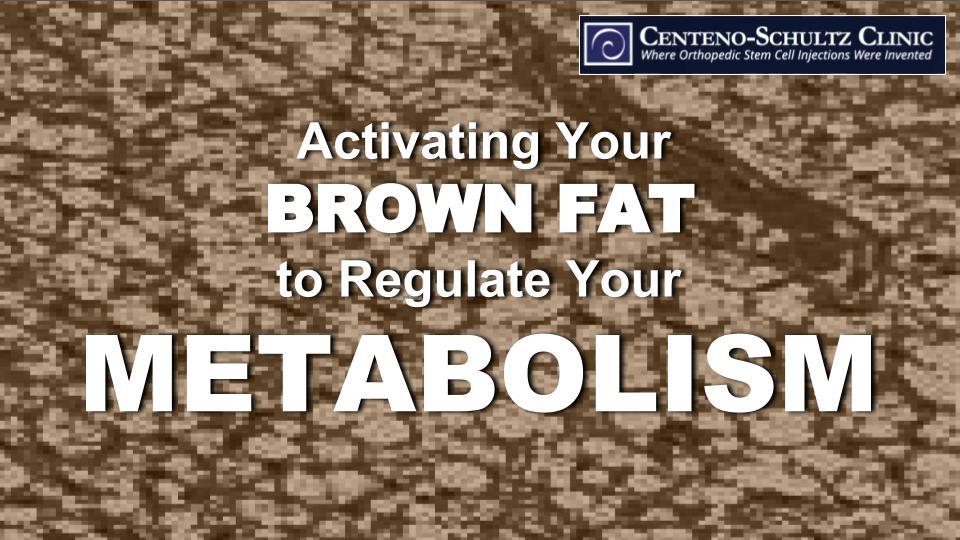Activating Beneficial "Brown Fat" Regulates Metabolism
