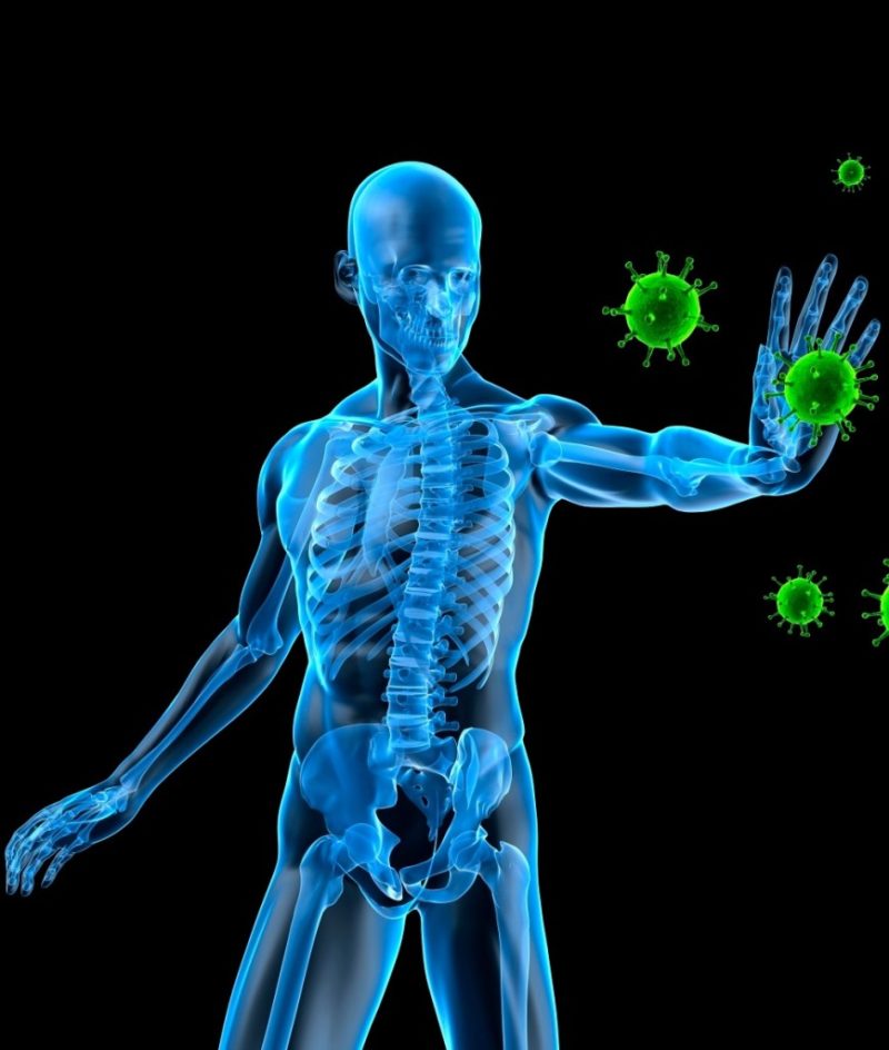 How to Supercharge Your Immune System COVID 19 Crash Course