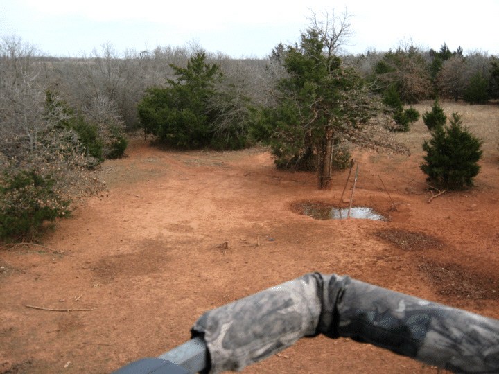 Red Dirt Boar Ranch Trip Report