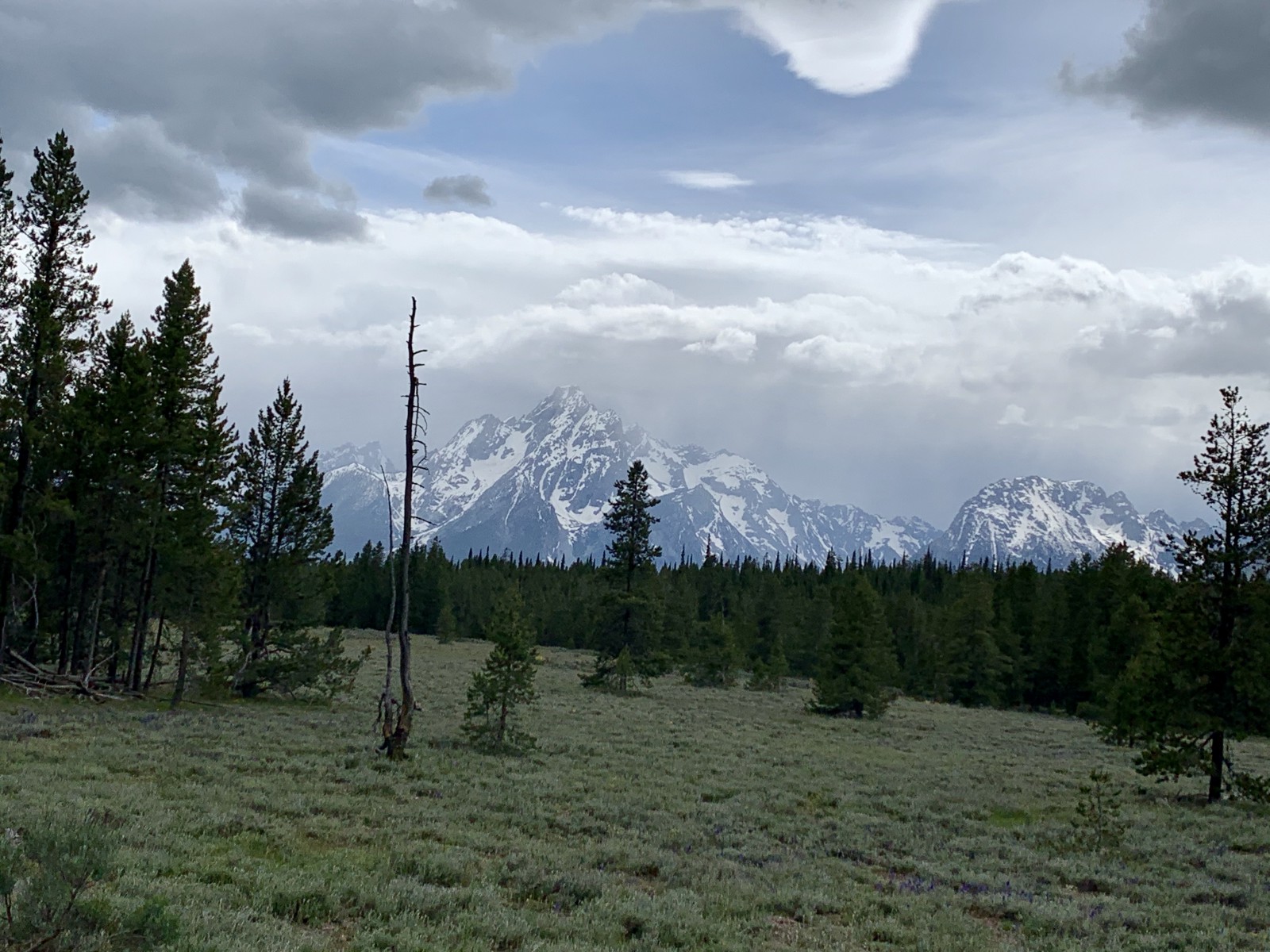 Sacred Sites, Places, & Landscapes All You Need To Know Buffalo Bill