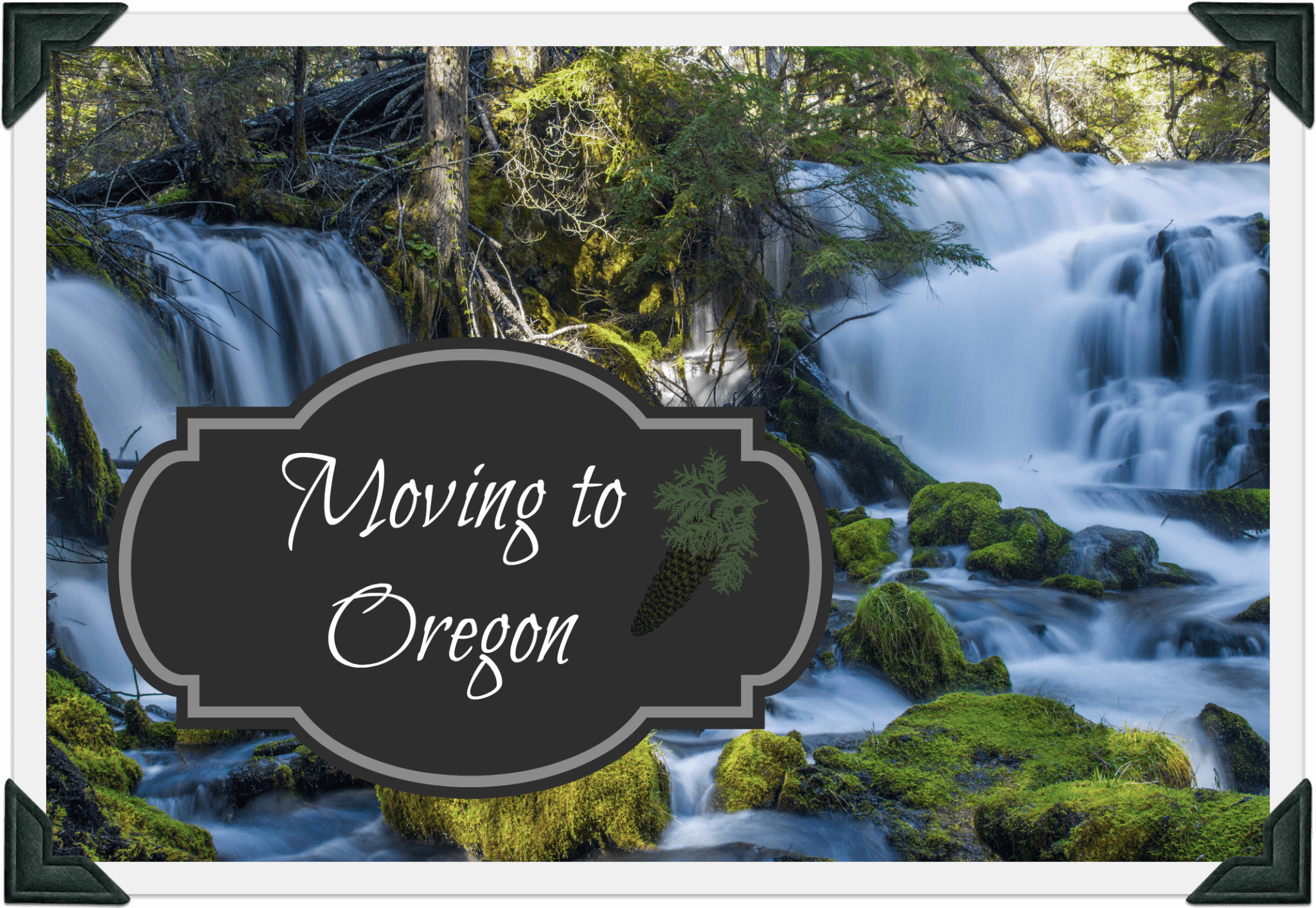 Cento Family Moving and Storage Moving to Oregon Cento Family Moving