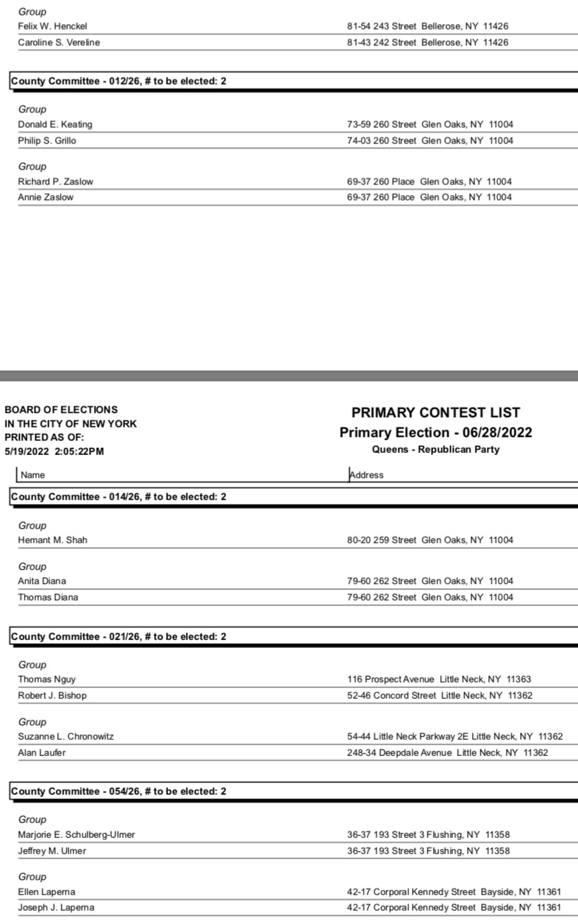 New York Primary Statewide and State Assembly Current Events