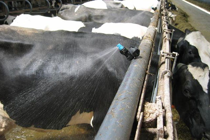 BARN EQ. AND VENTILATION Central AG Supply Services