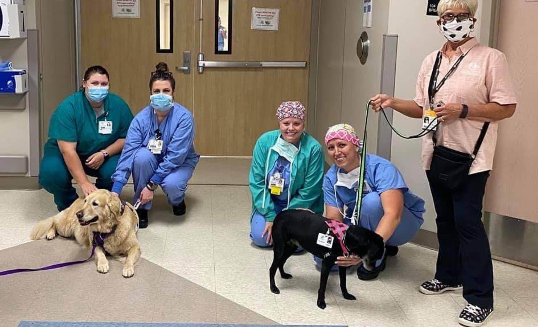 Where We Go Central Arkansas Pet Partners