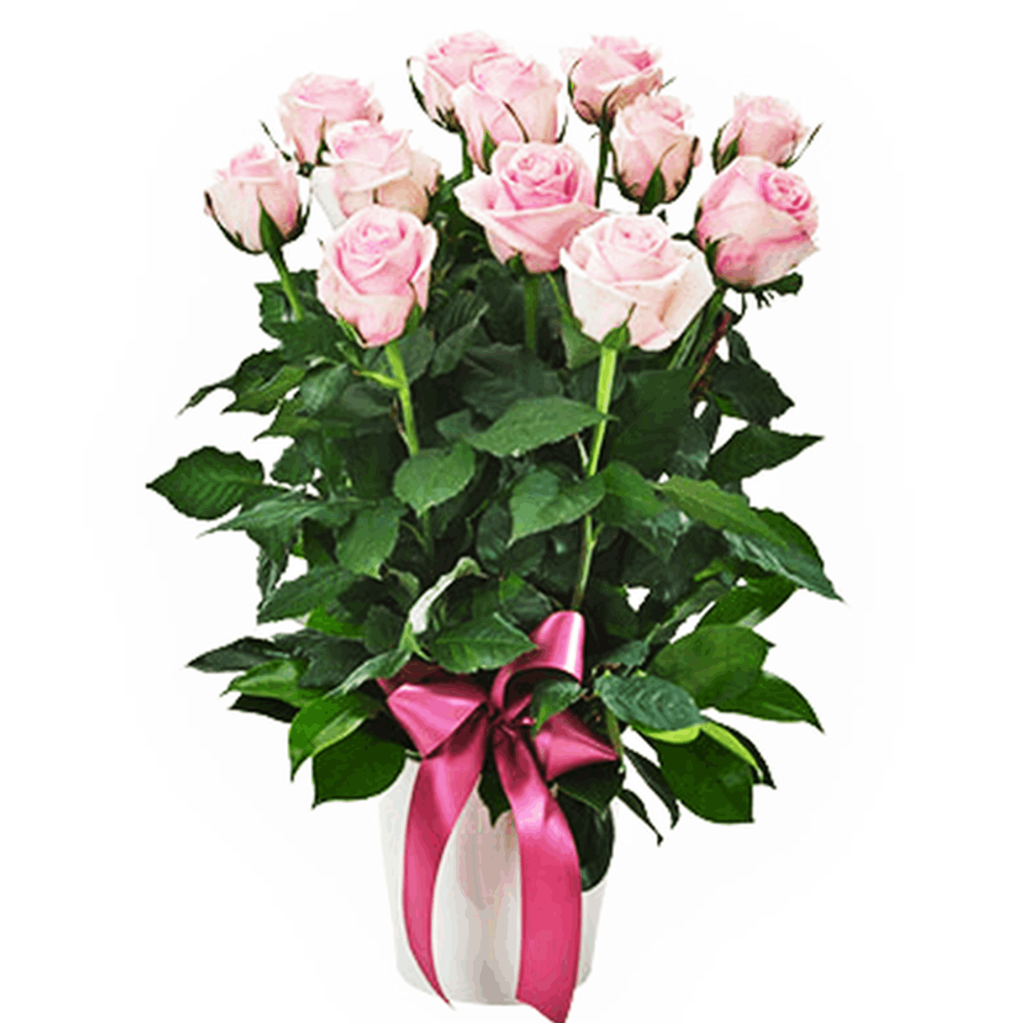 Central Coast Florist Roses