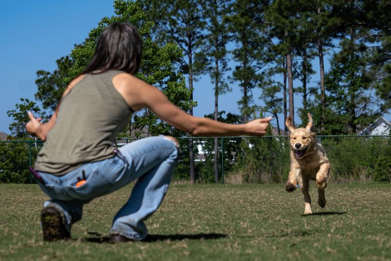 Dog Socialization 5 Great Steps That Produce Results!