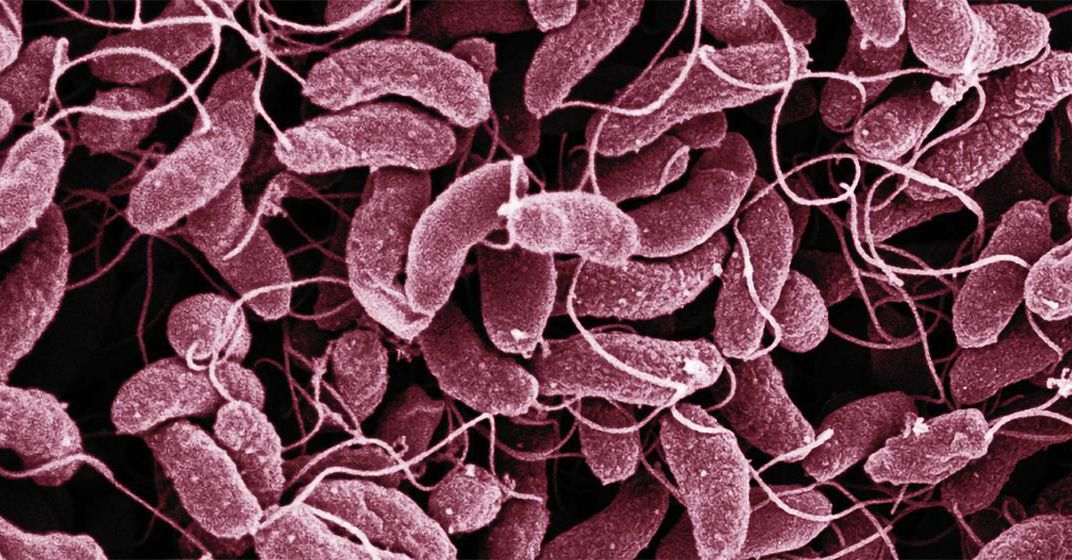 Raining and the disease it brings CHOLERA Central Dansoman Clinic