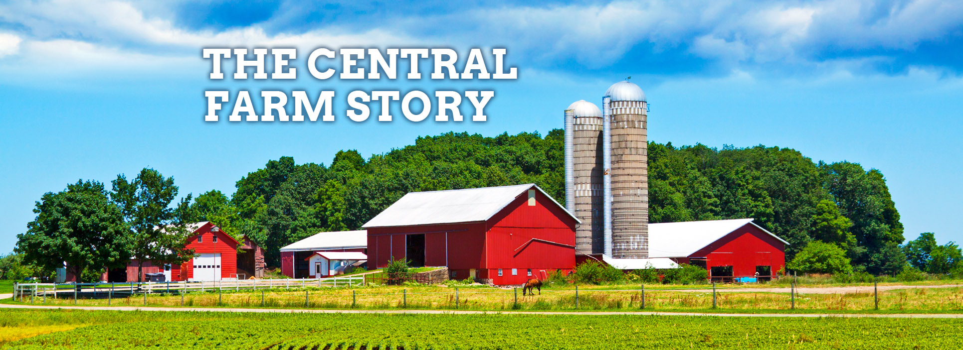 Central Farm Supply Wholesale Feed, Seed, Farm Equipment, and more