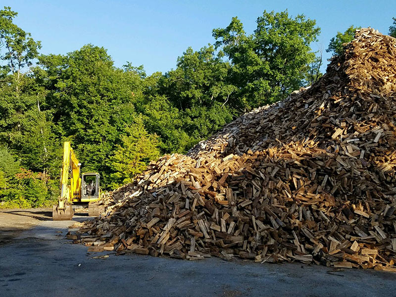 green firewood Central Mass Tree