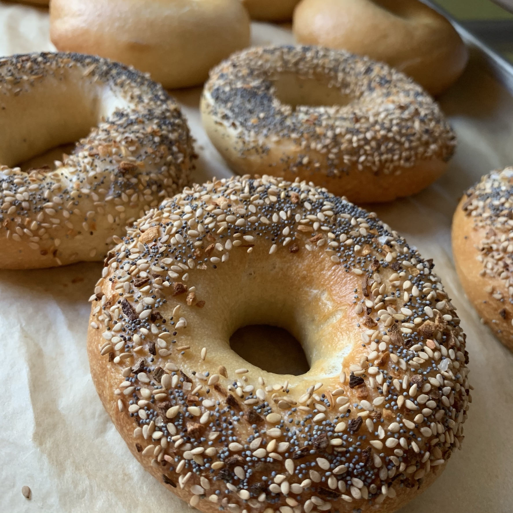 Not Your Average Bagel Shop Bagel // Central Milling