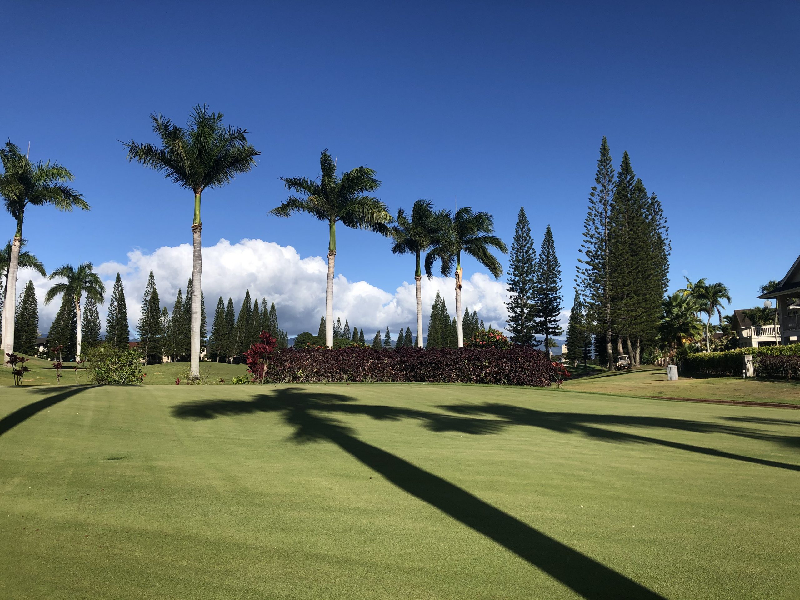 Central Oahu Real Estate Waikele Neighborhood Homes for Sale