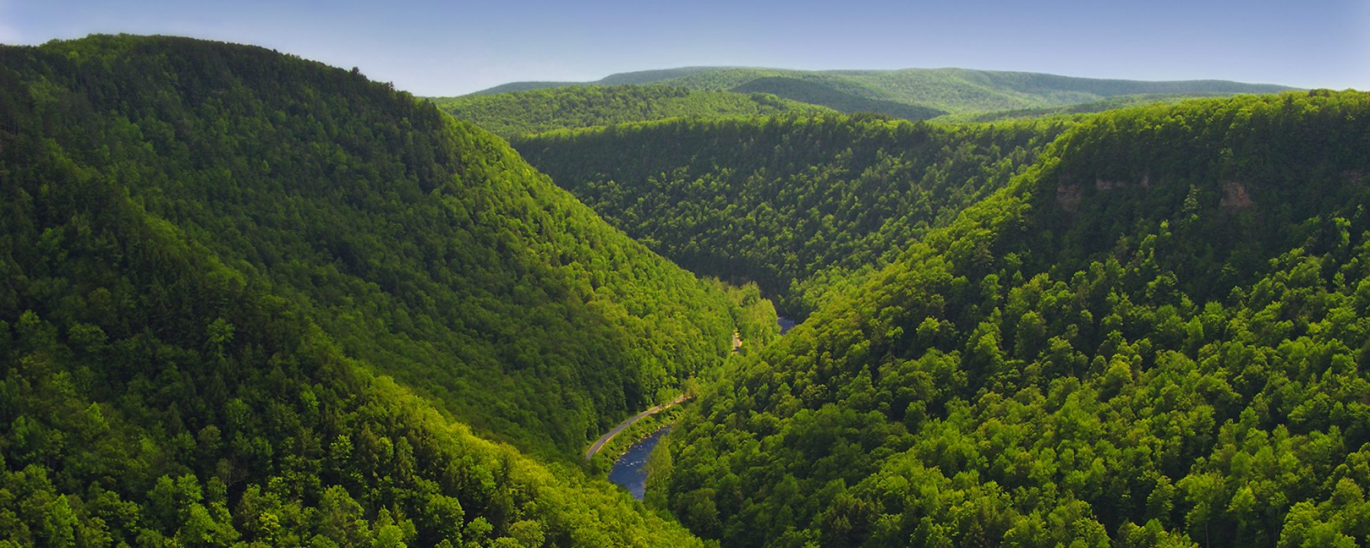 Gifford Pinchot State Park Central PA Hiking