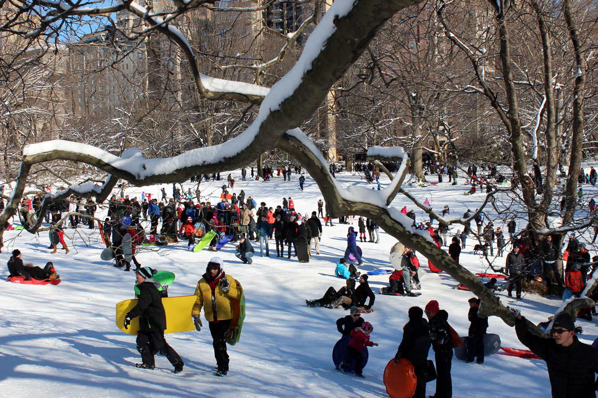 Snow in Central Park 2014 Central Park