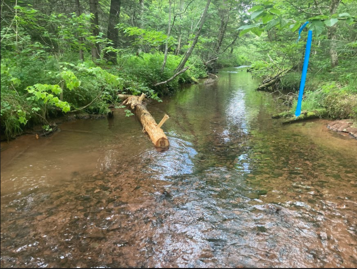 2020 Field Season Central Queens Branch of the PEI Wildlife Federation
