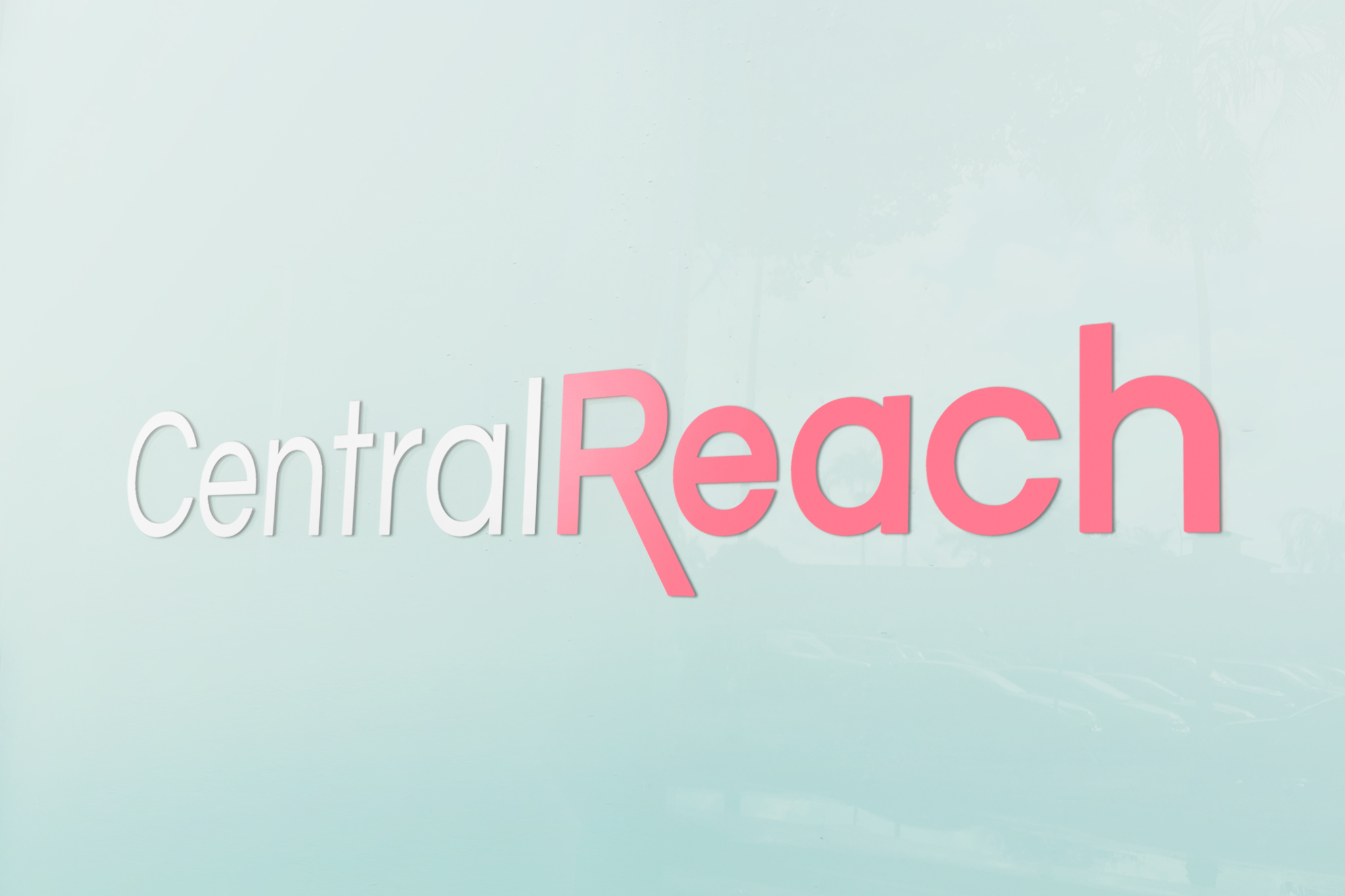 CentralReach New Vice President Of People
