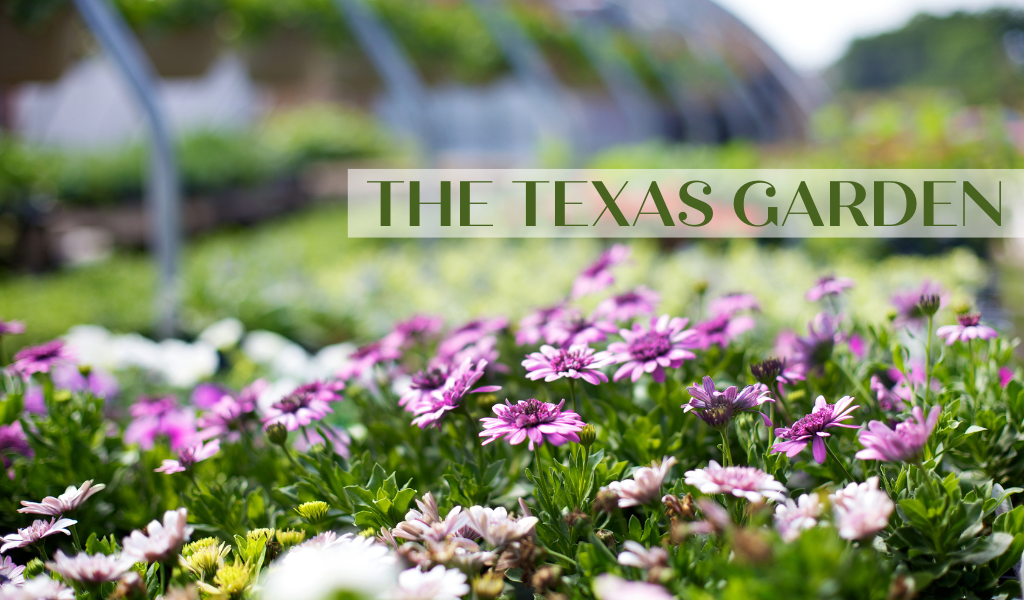 New Garden Center, The Texas Garden, to Open in Bellmead Central