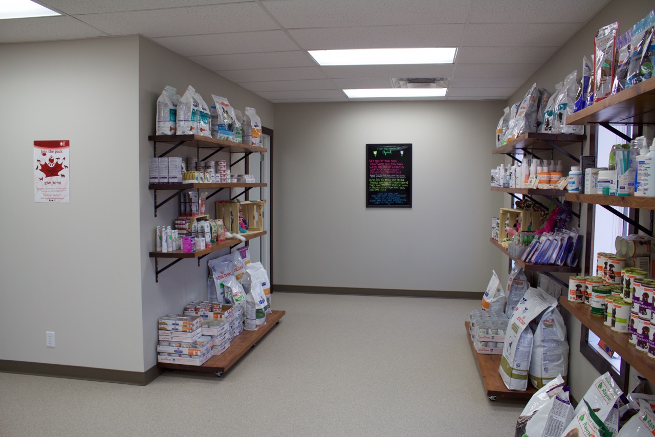 Central Veterinary Services Hospital Tour Oak Bluff, MB Veterinarian