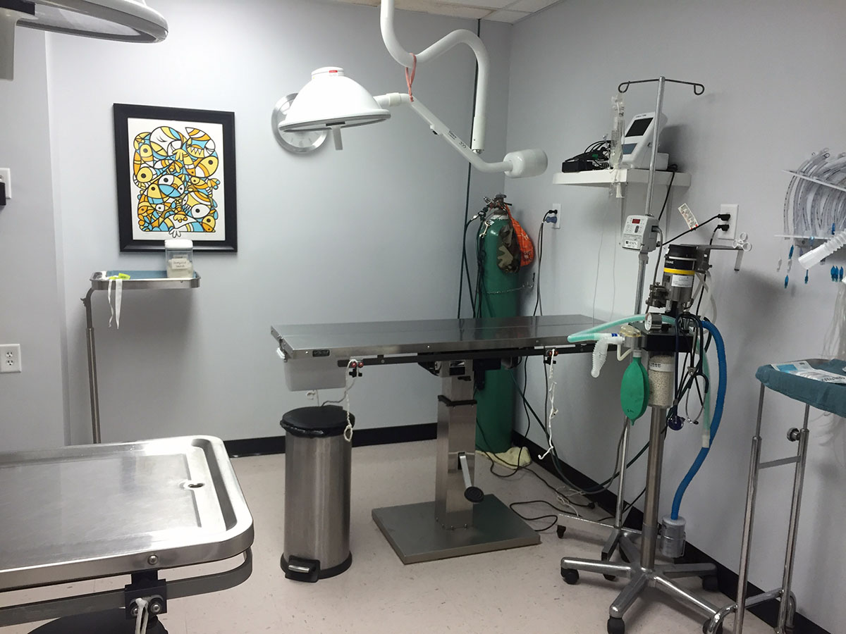 Summerville SC Veterinarian Central Avenue Veterinary Hospital