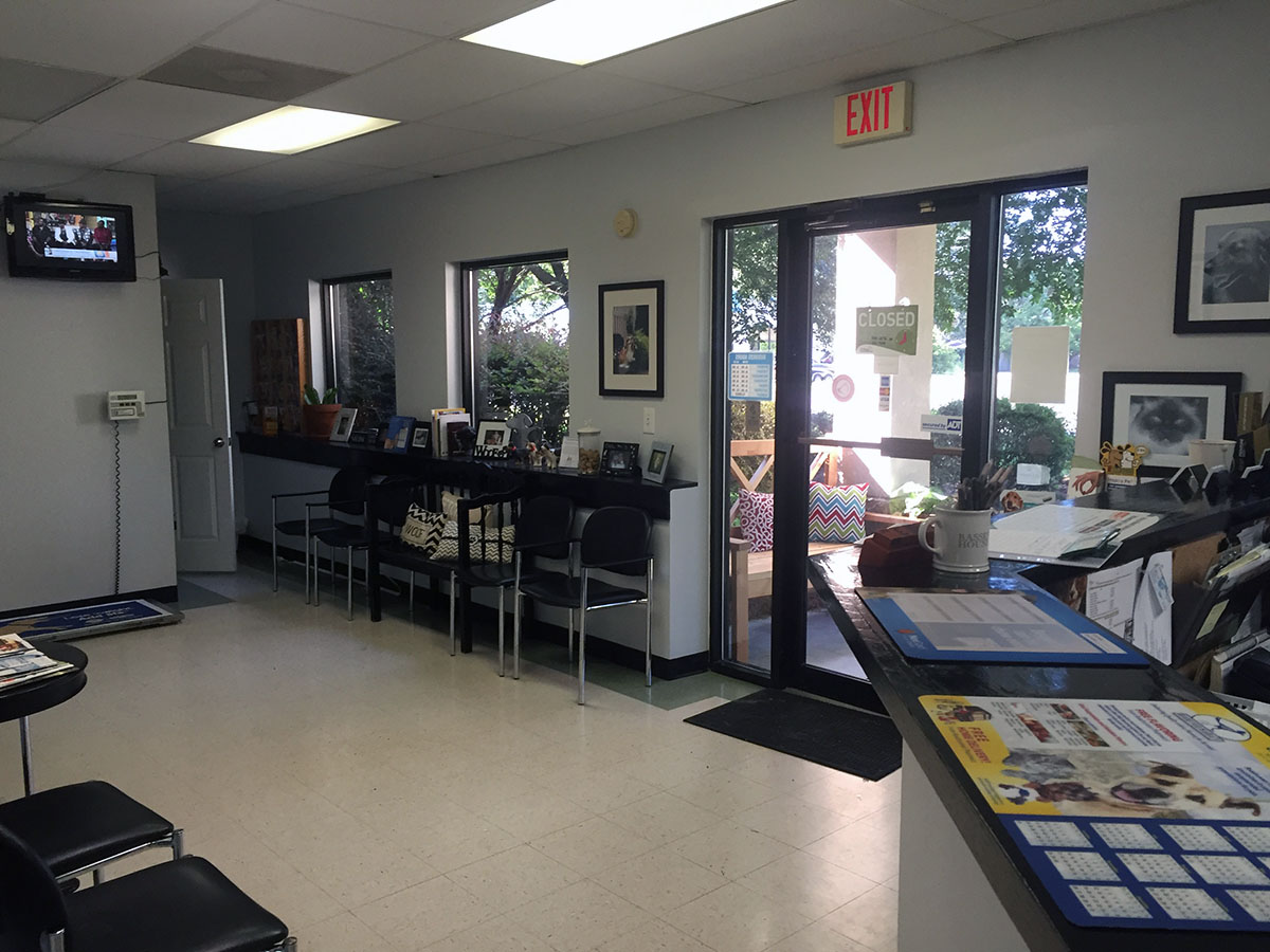 Summerville SC Veterinarian Central Avenue Veterinary Hospital