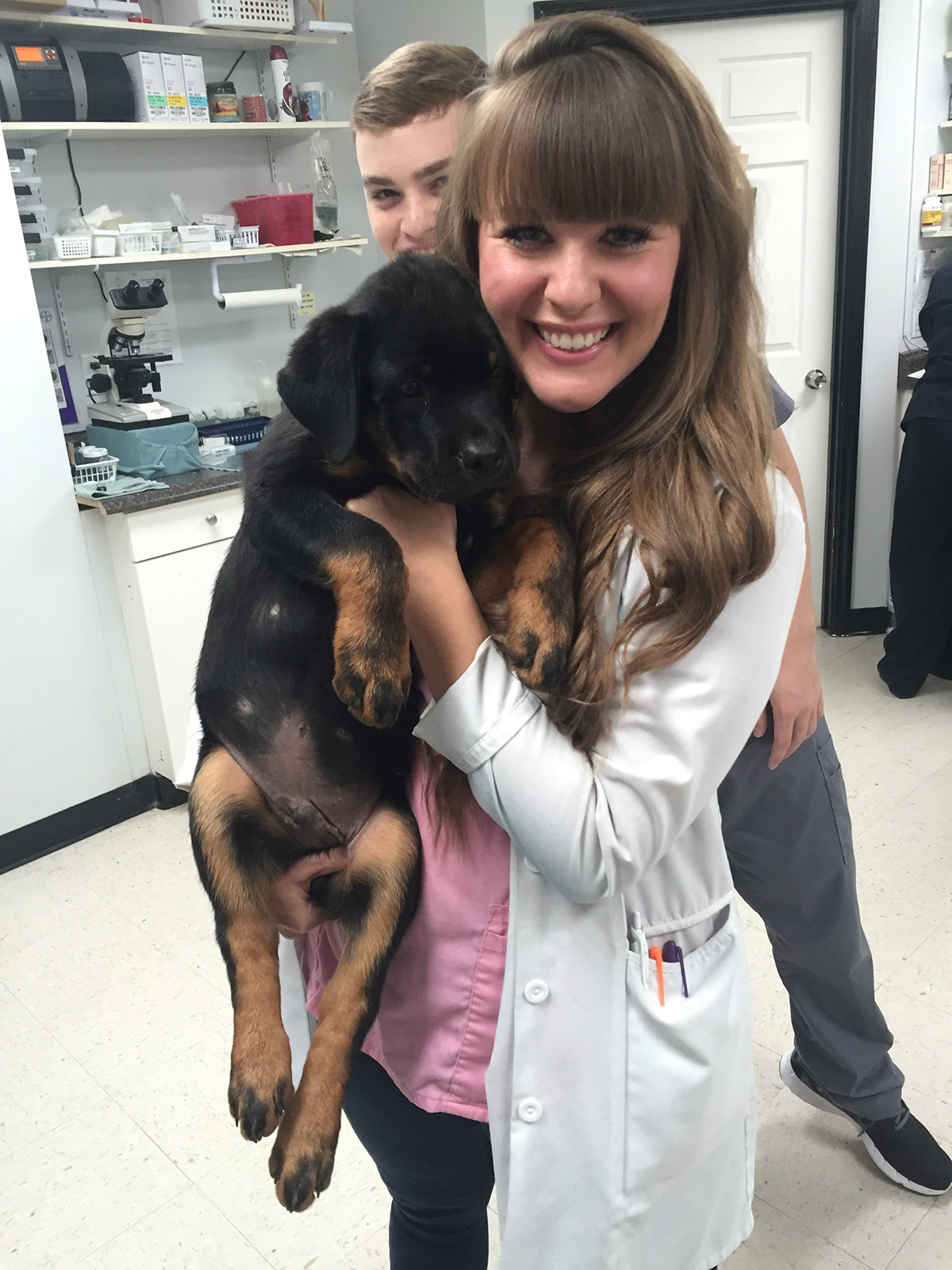 Central Veterinary Hospital Central Veterinary Hospital