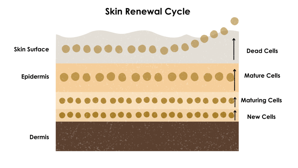 Balanced Skin - Central Wellness