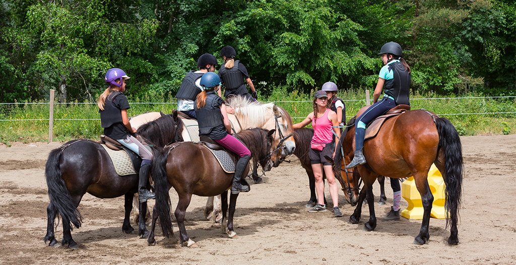 Accueil Centre Equestre le Buisson
