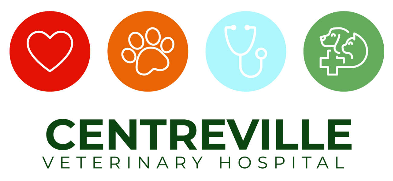 usda veterinary health certificate for export of dogs and cats fill and