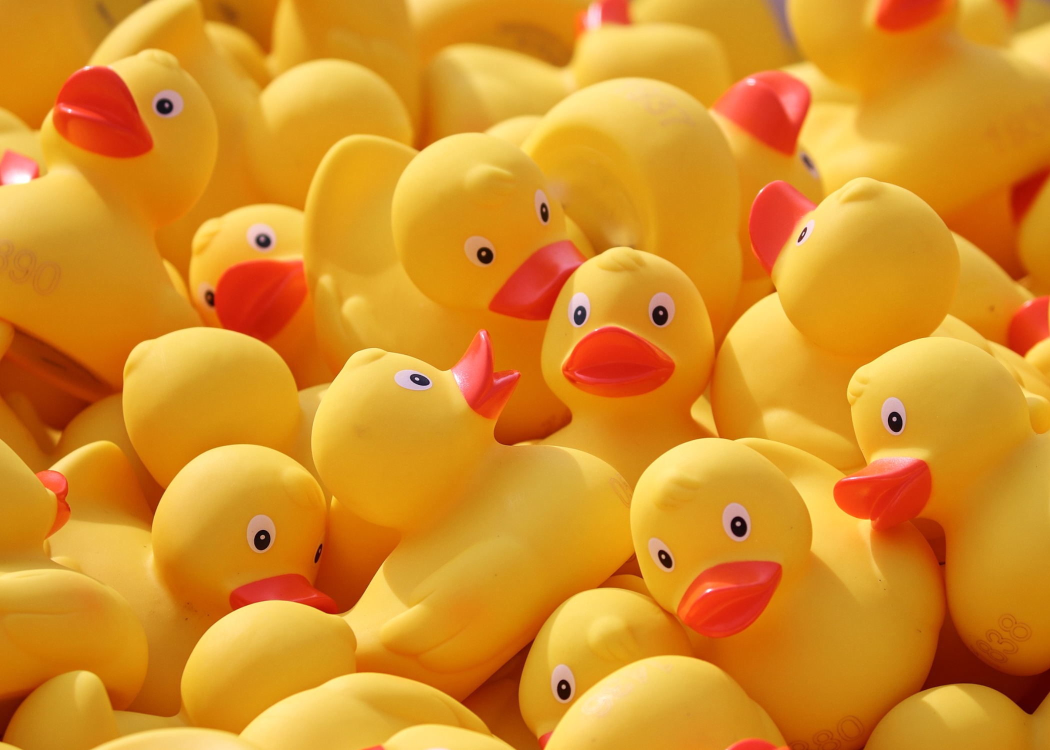 Events In Kalamazoo August 2023 Events Centrica Care Navigators