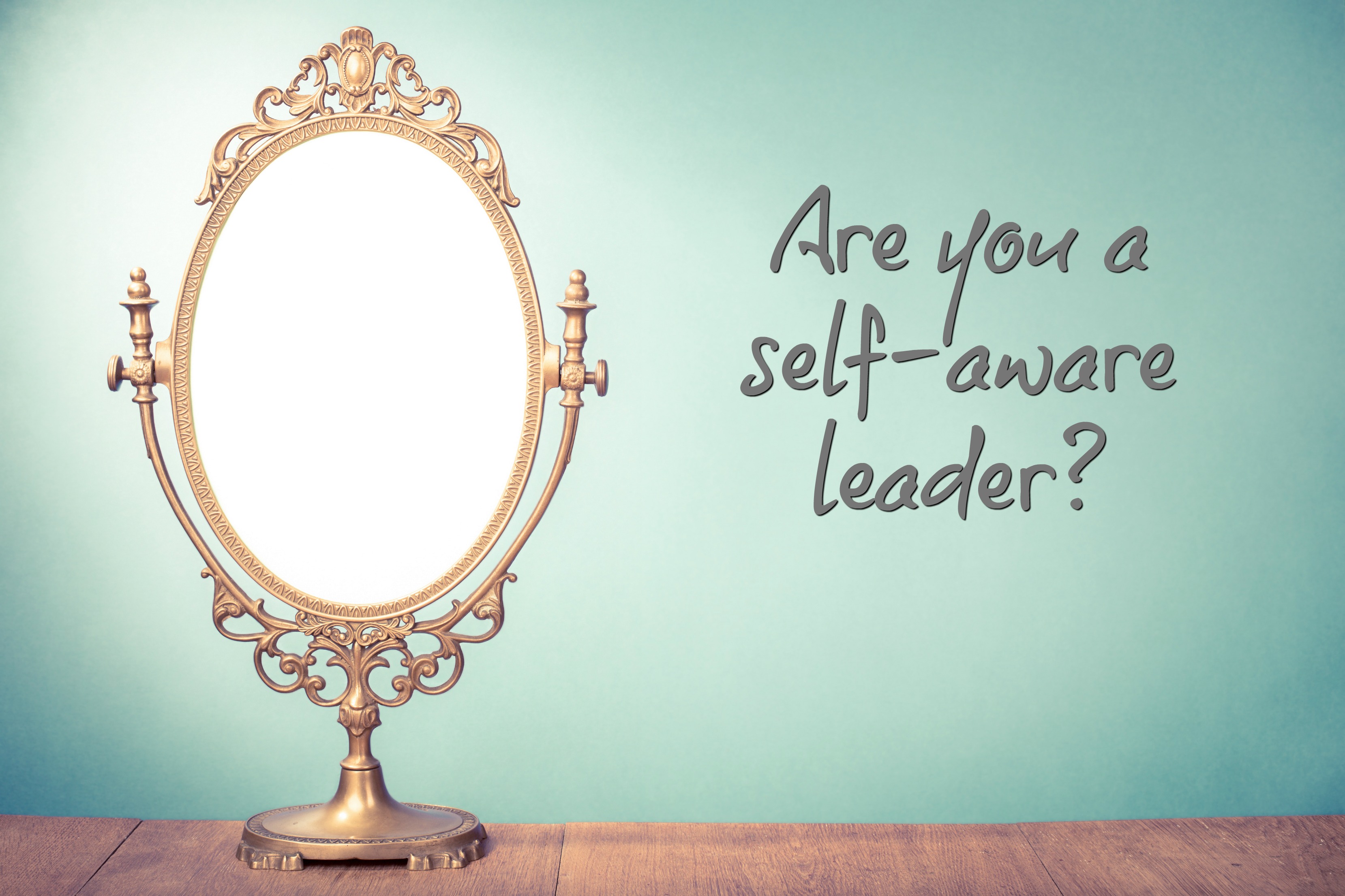 Growing Your Leadership Skills SelfAwareness
