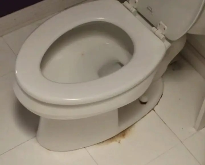 How To Get Urine Out Of Grout Around Toilet Centrihome