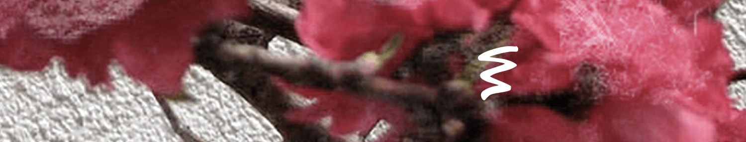 Quando La Genitorialità È Funzionale E Quando Diventa Disfunzionale E Maltrattante. – Hanami 286_x_1500_png