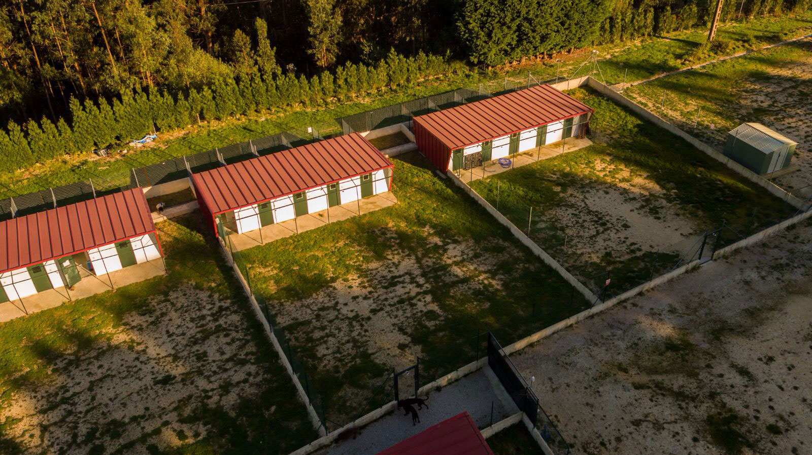 El Centro Centro Kennels