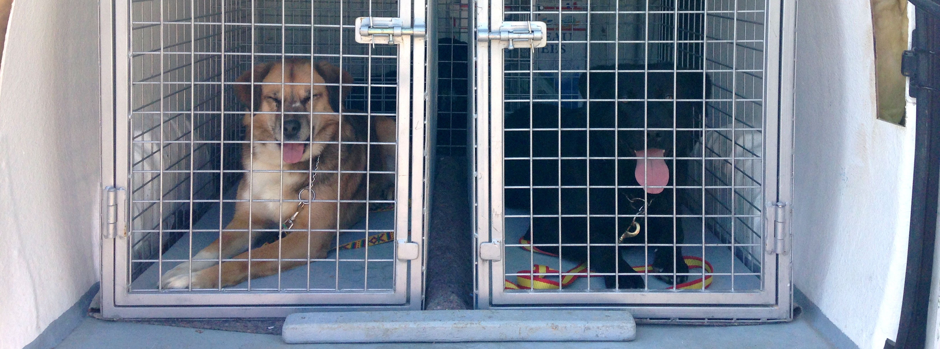 Transportation Centro Kennels