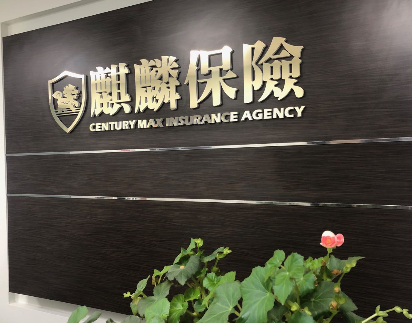 Personal Auto Century Max Insurance Agency 麒麟保险