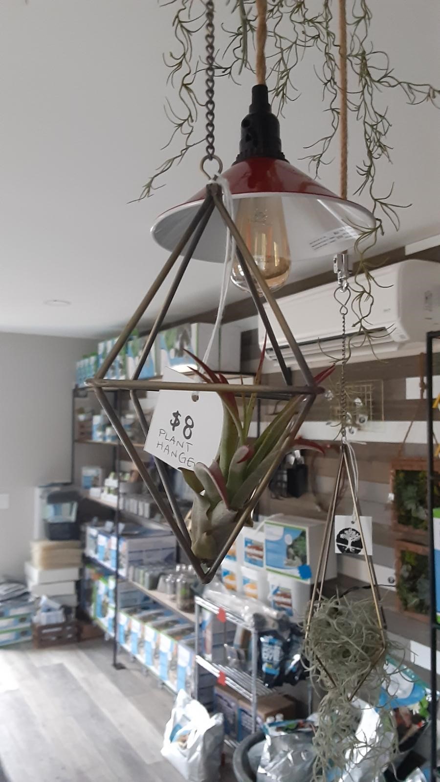 Pond Store C.E. Pontz Sons