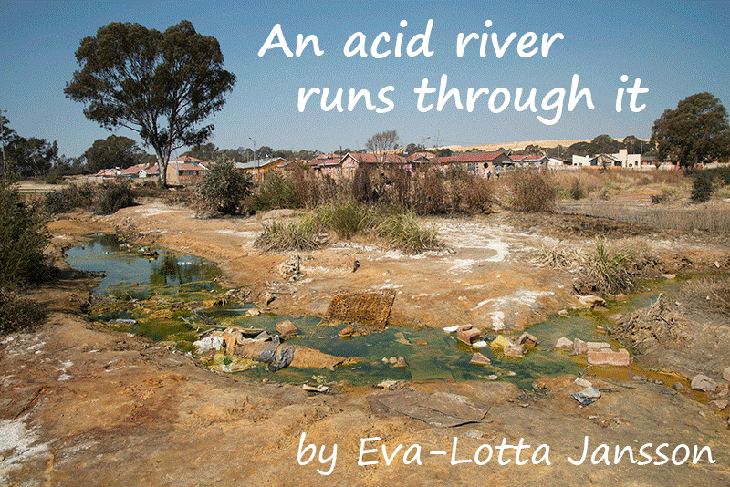 Human Rights Day in Davidsonville on the West Rand Living with Acid