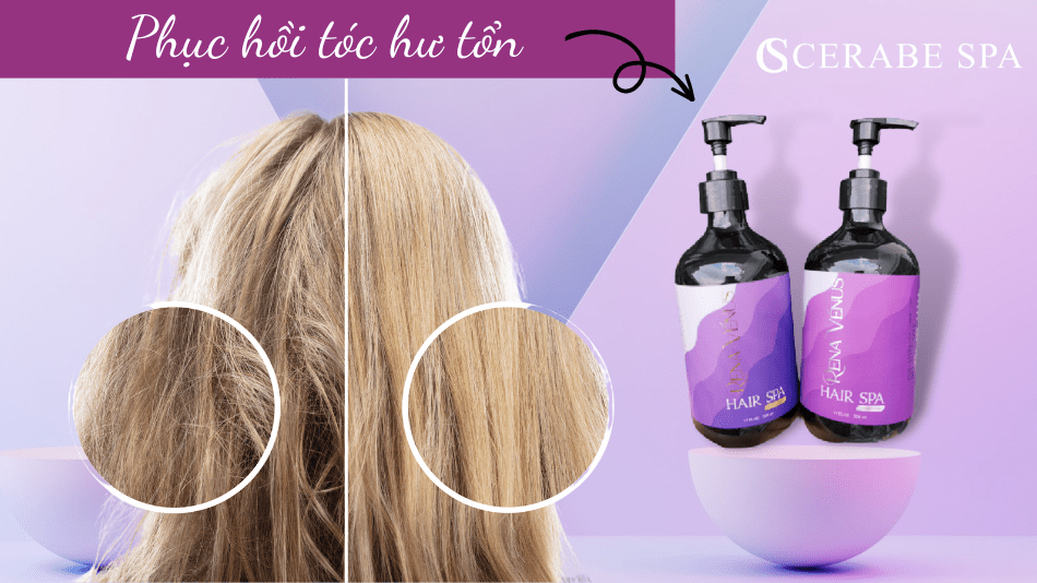 Các dược liệu có trong bộ dầu gội xả RENA VENUS HAIR SPA