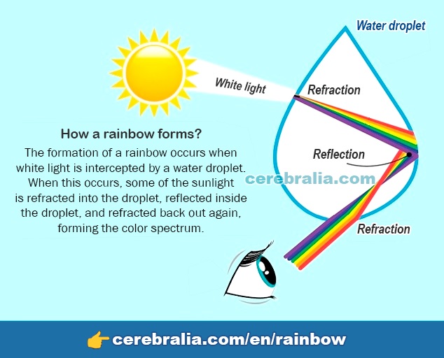 HOW ARE RAINBOWS FORMED? 】 ️ COLORS, TYPES & MORE!