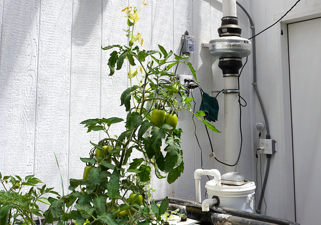 Heat and cool your greenhouse renewably using the soil Ceres Greenhouse