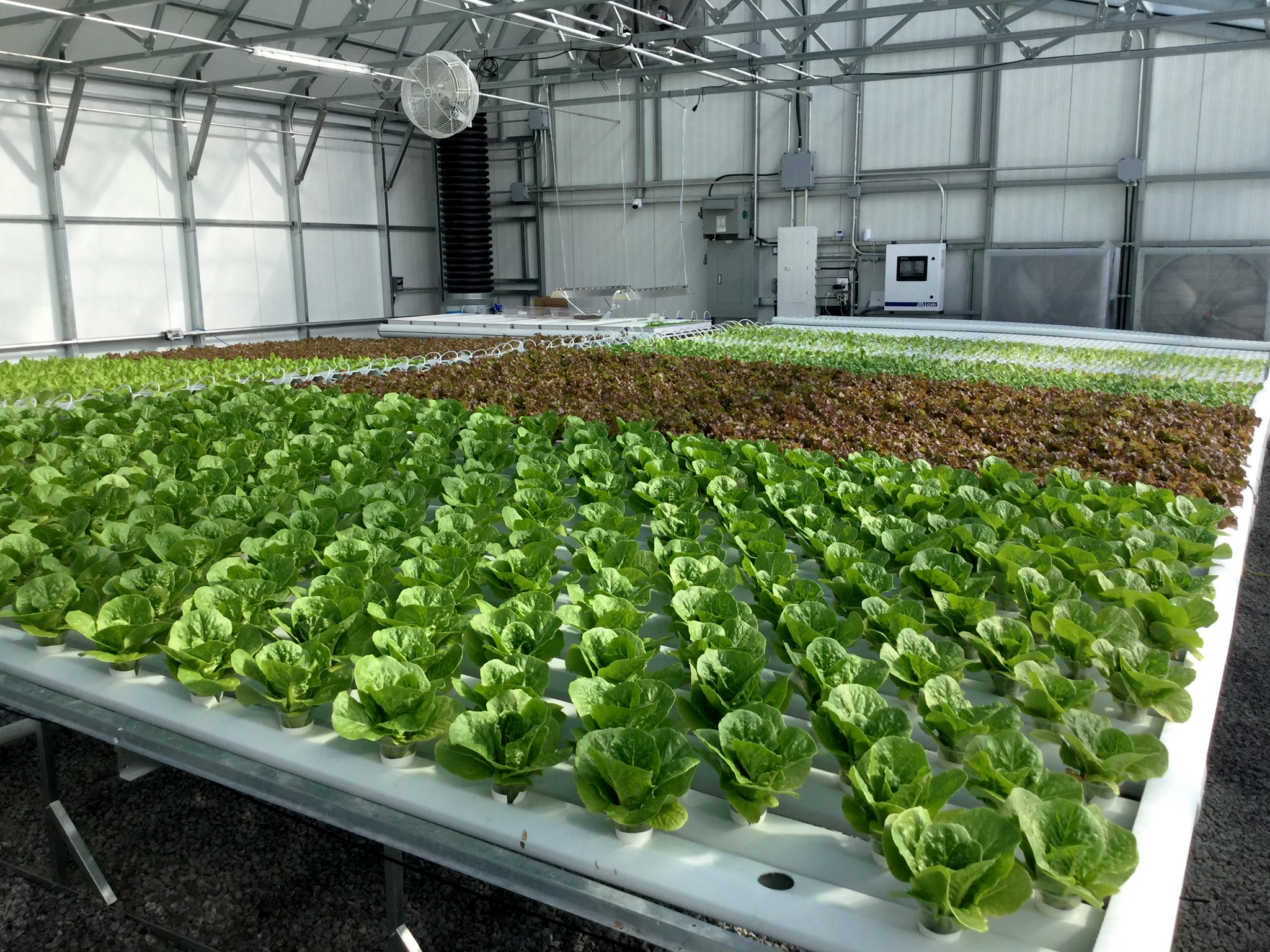 Commercial Greenhouse Design Commercial Greenhouses For Farming
