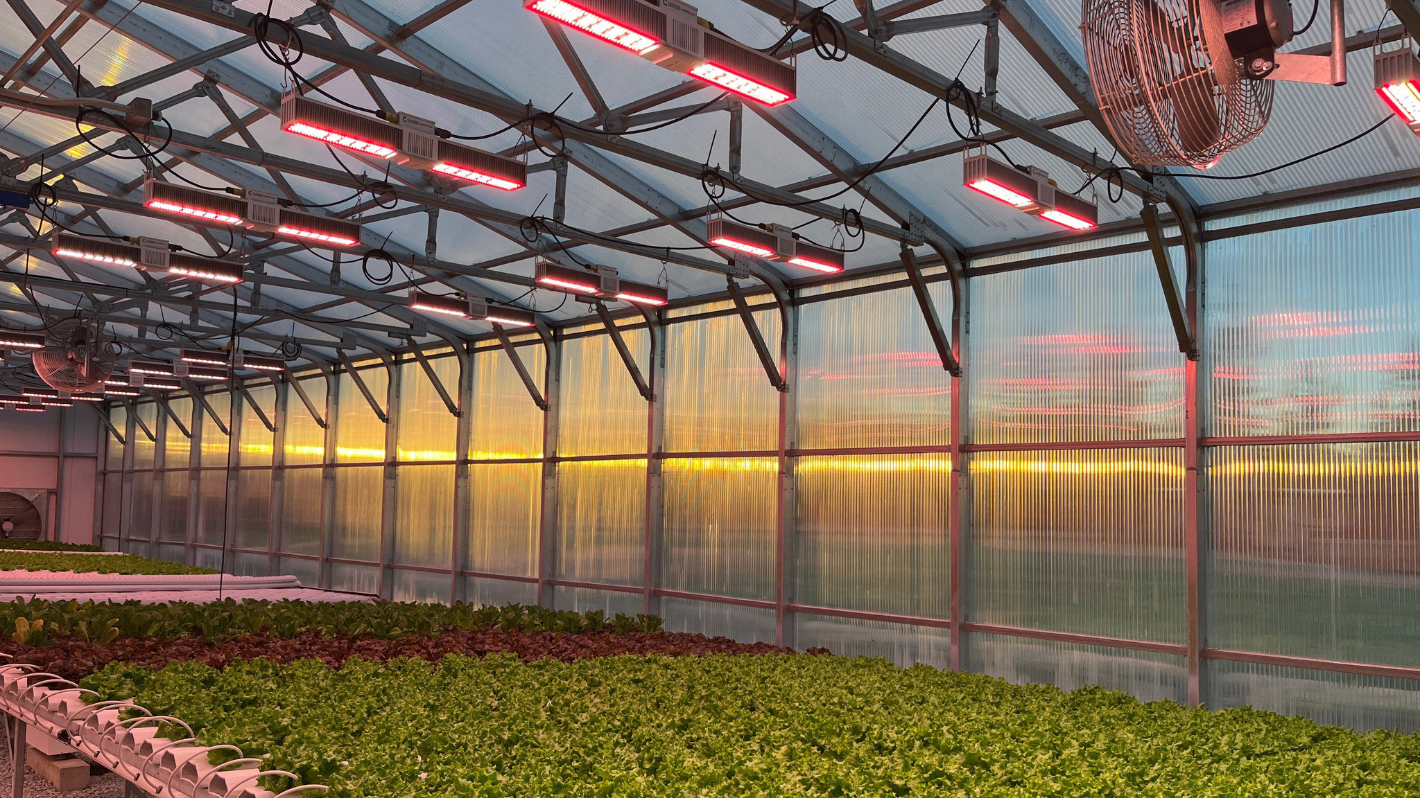 5 Strategies for Maximizing Your Commercial Greenhouse Efficiency in
