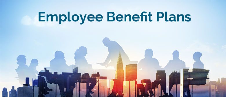 Employee Benefits Plans Cerini & Associates, LLP