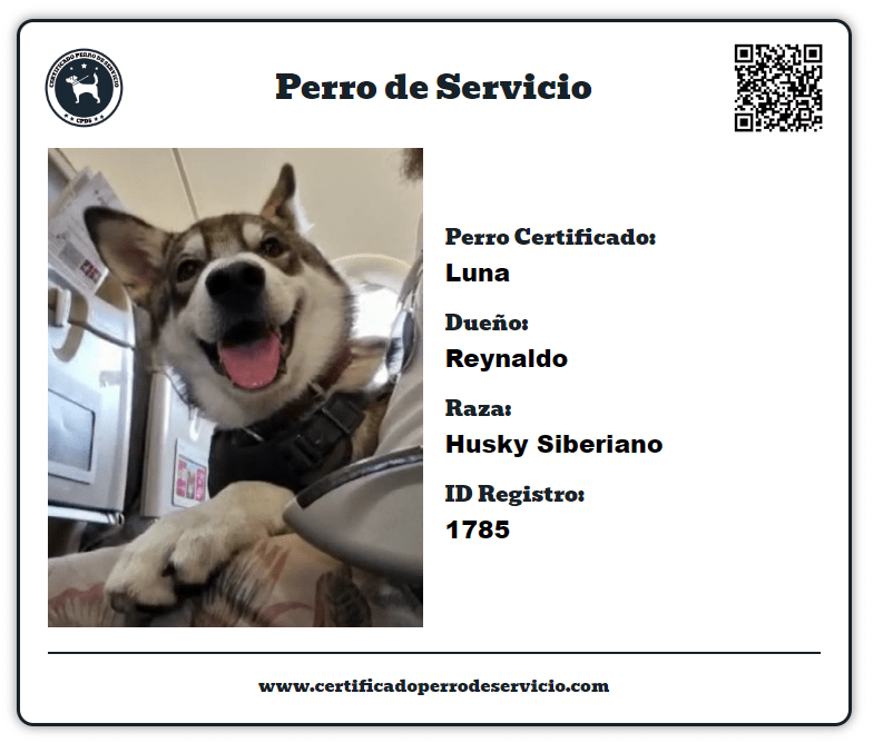 FAQ Certificado Perro De Servicio