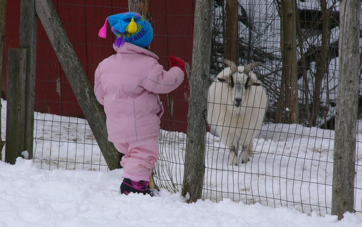 Silver Spruce Montessori School Nature Explore Program